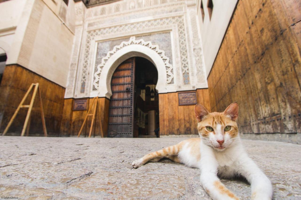 Riad Anis Fez Zewnętrze zdjęcie